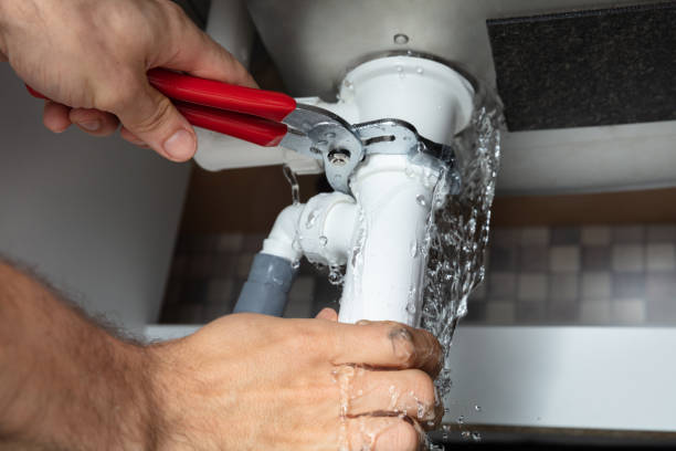 Best Professional water damage repair  in Kenly, NC