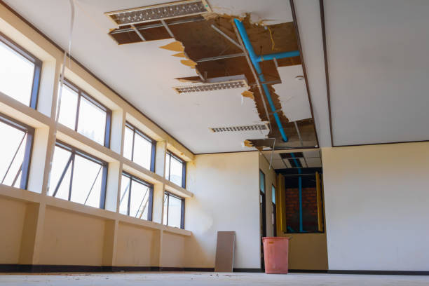 Best Mold removal after water damage  in Kenly, NC