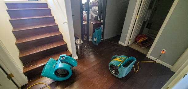 Best Flooded house restoration  in Kenly, NC
