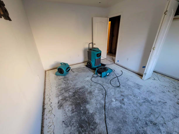 Best Water damage restoration near me  in Kenly, NC