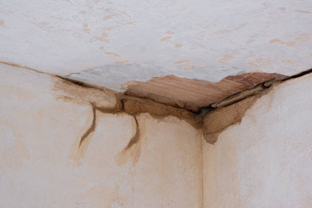 Best Water damage restoration process  in Kenly, NC