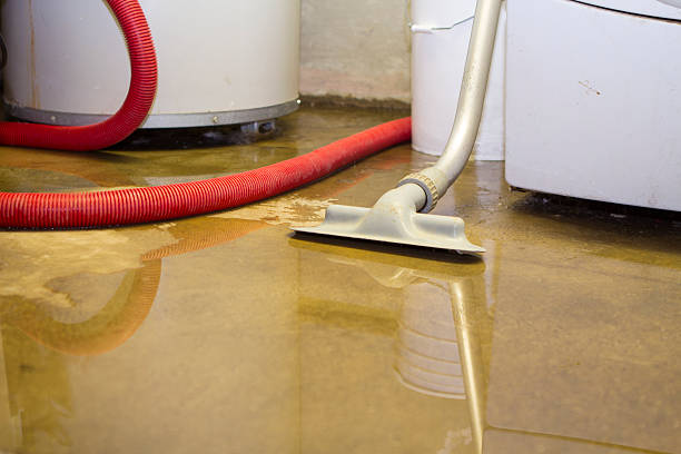 Best Sewage cleanup and water damage restoration  in Kenly, NC